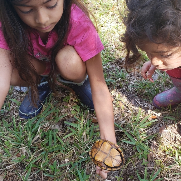 Hello! Welcome to my Closet 🥰 - Picture 5 of 5